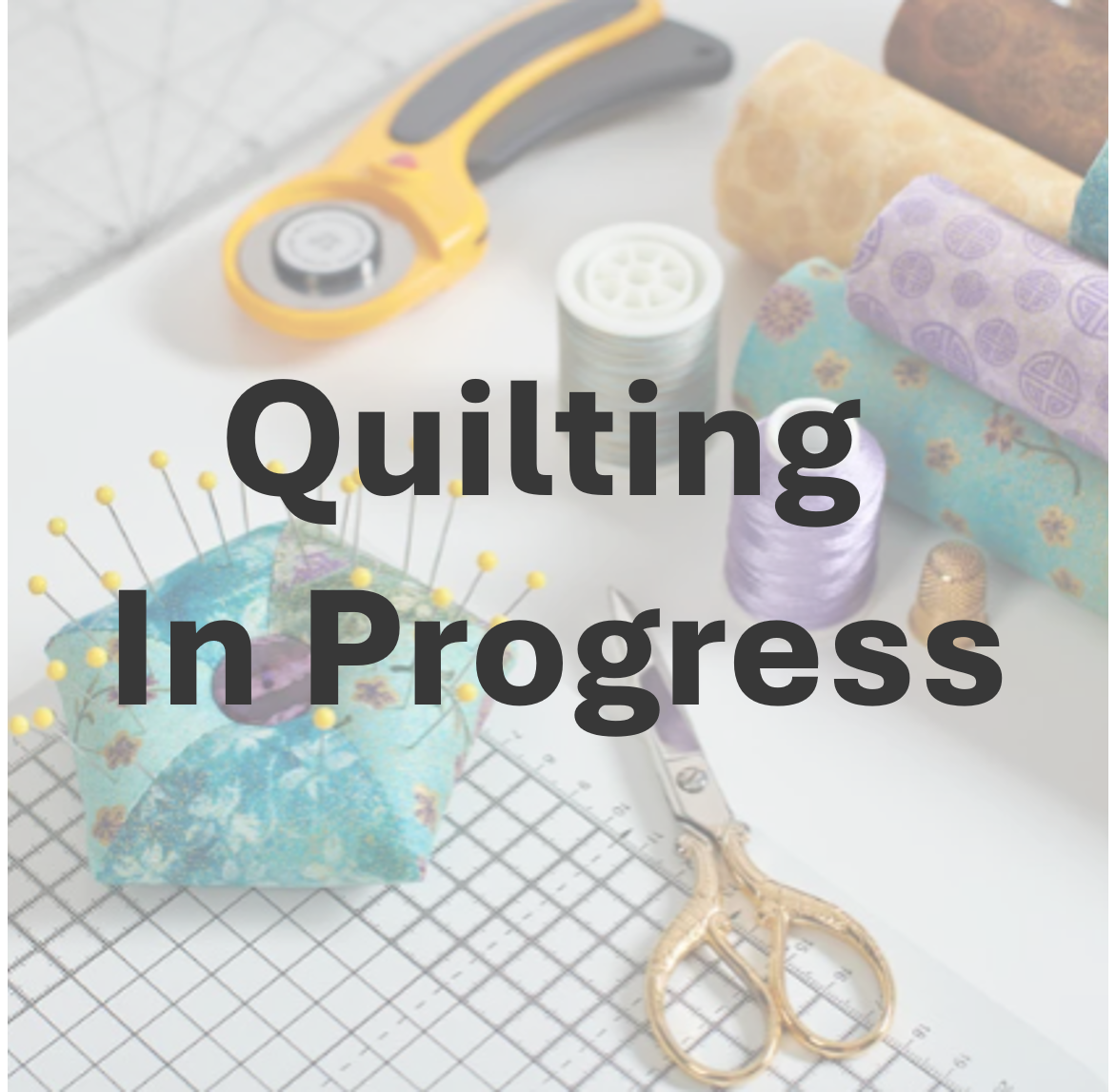 Quilting In Progress